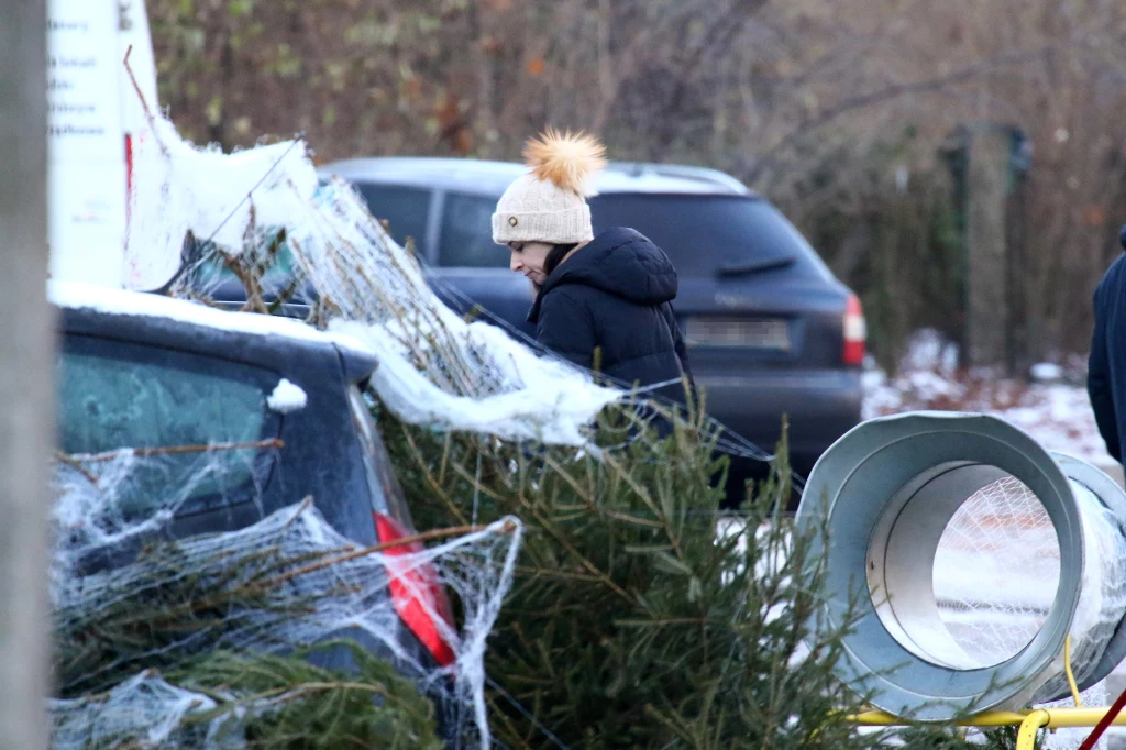 Marta Kaczyńska wybiera choinkę z synkiem i trzecim mężem, Piotrem Zielińskim 