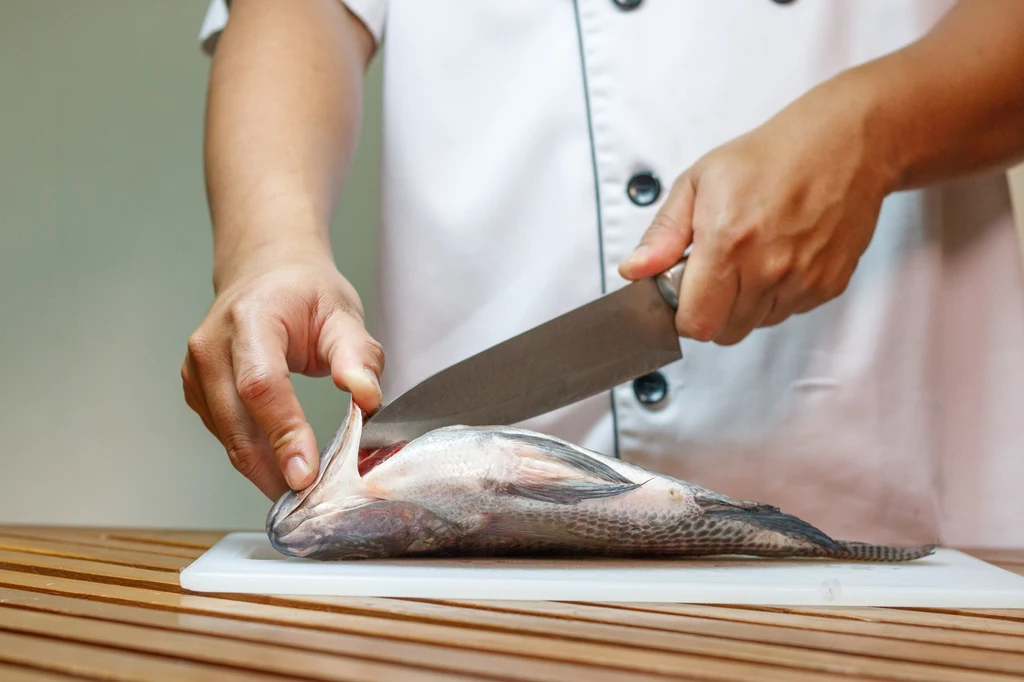 Przed patroszeniem lub filetowaniem ryby, powinniśmy zadbać o ostry nóż
