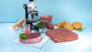 Wydrukuj sobie stek. Tanie mięso z probówki dzięki odpadom i drukowi 3D
