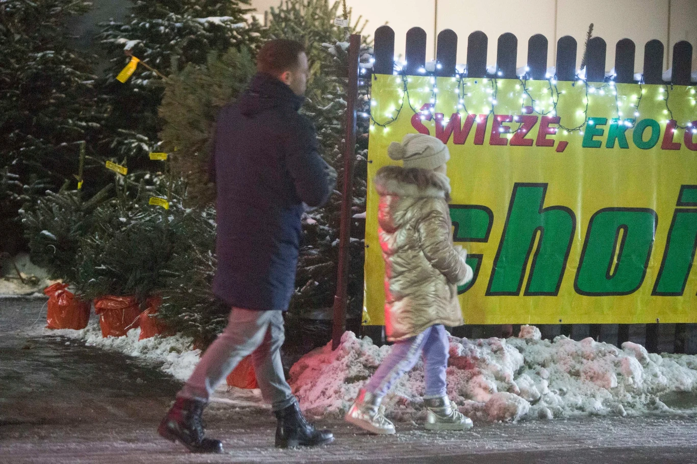 Marcin Hakiel z córką wybiera choinkę Marcin Hakiel z córką wybiera choinkę