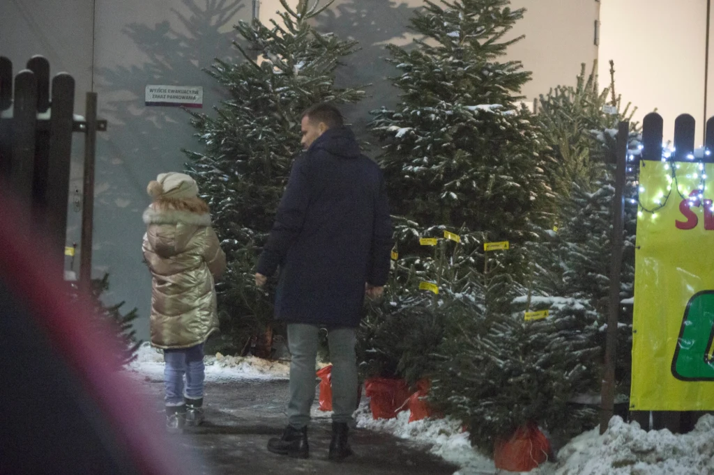 Marcin Hakiel z córką wybiera choinkę Marcin Hakiel z córką wybiera choinkę