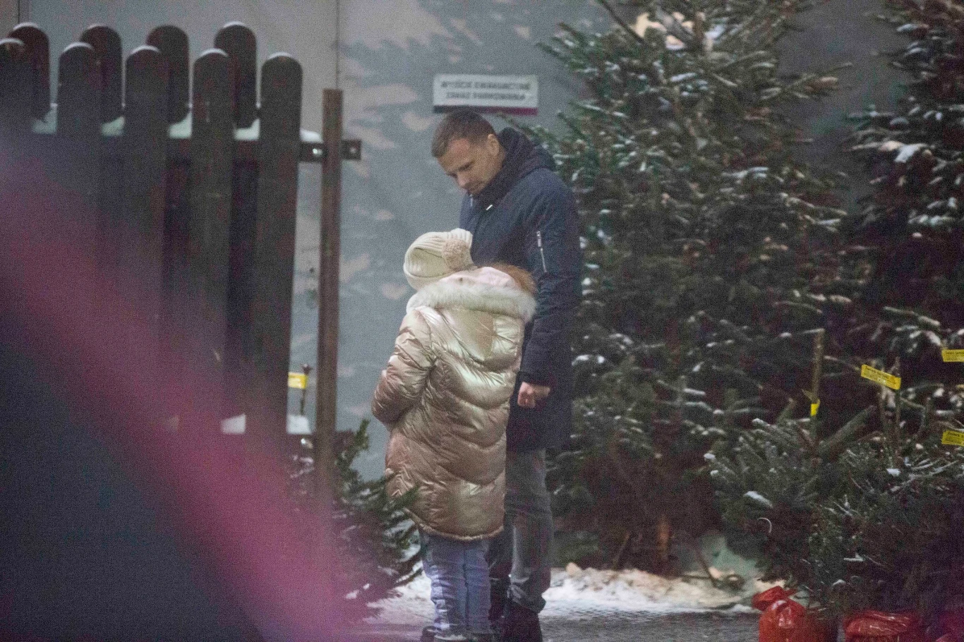Marcin Hakiel z córką wybiera choinkę Marcin Hakiel z córką wybiera choinkę