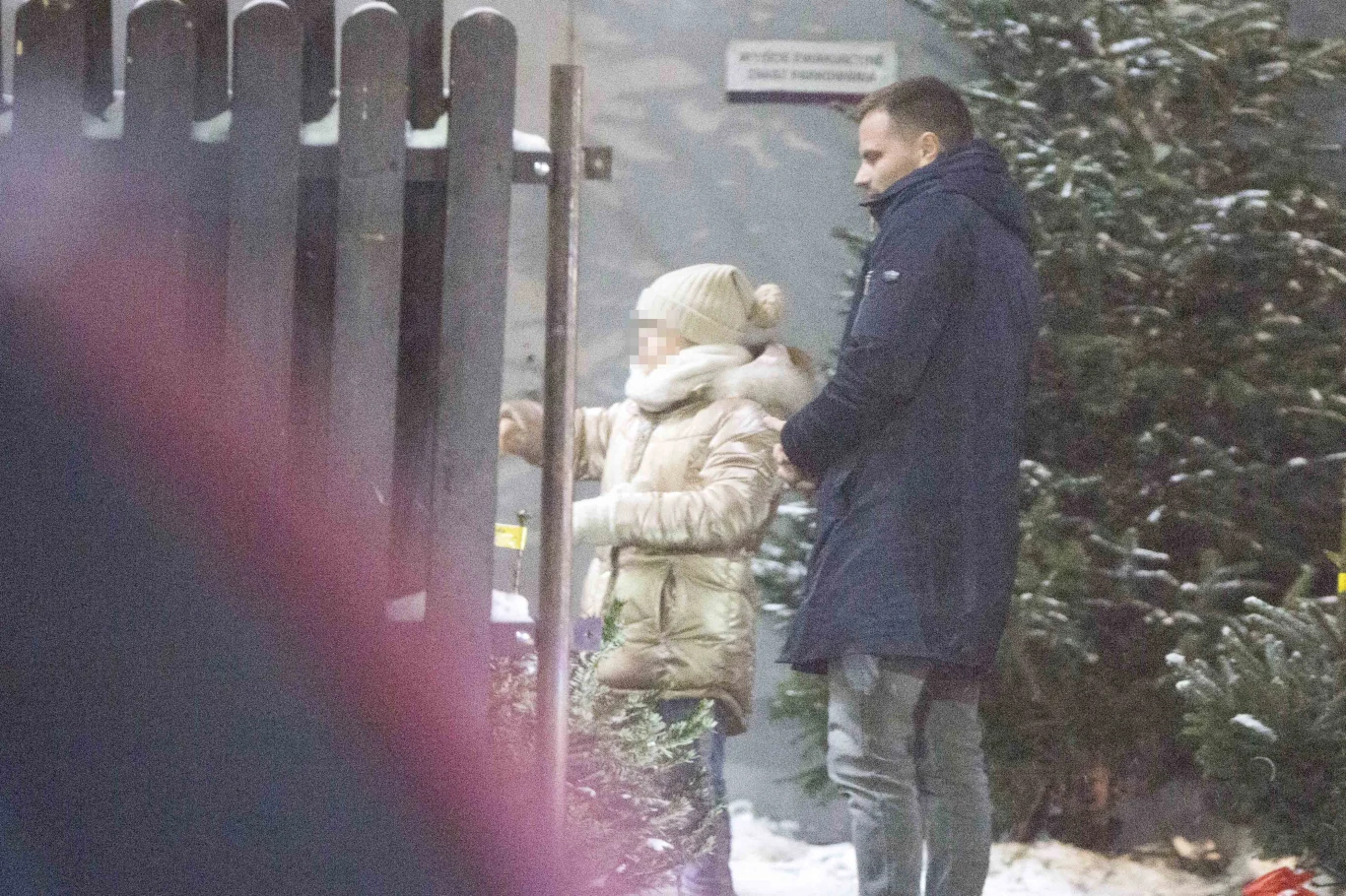 Marcin Hakiel z córką wybiera choinkę Marcin Hakiel z córką wybiera choinkę