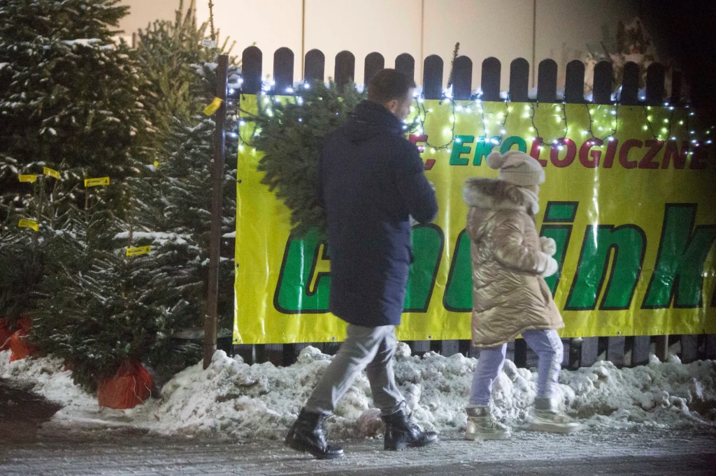 Marcin Hakiel z córką wybiera choinkę Marcin Hakiel z córką wybiera choinkę