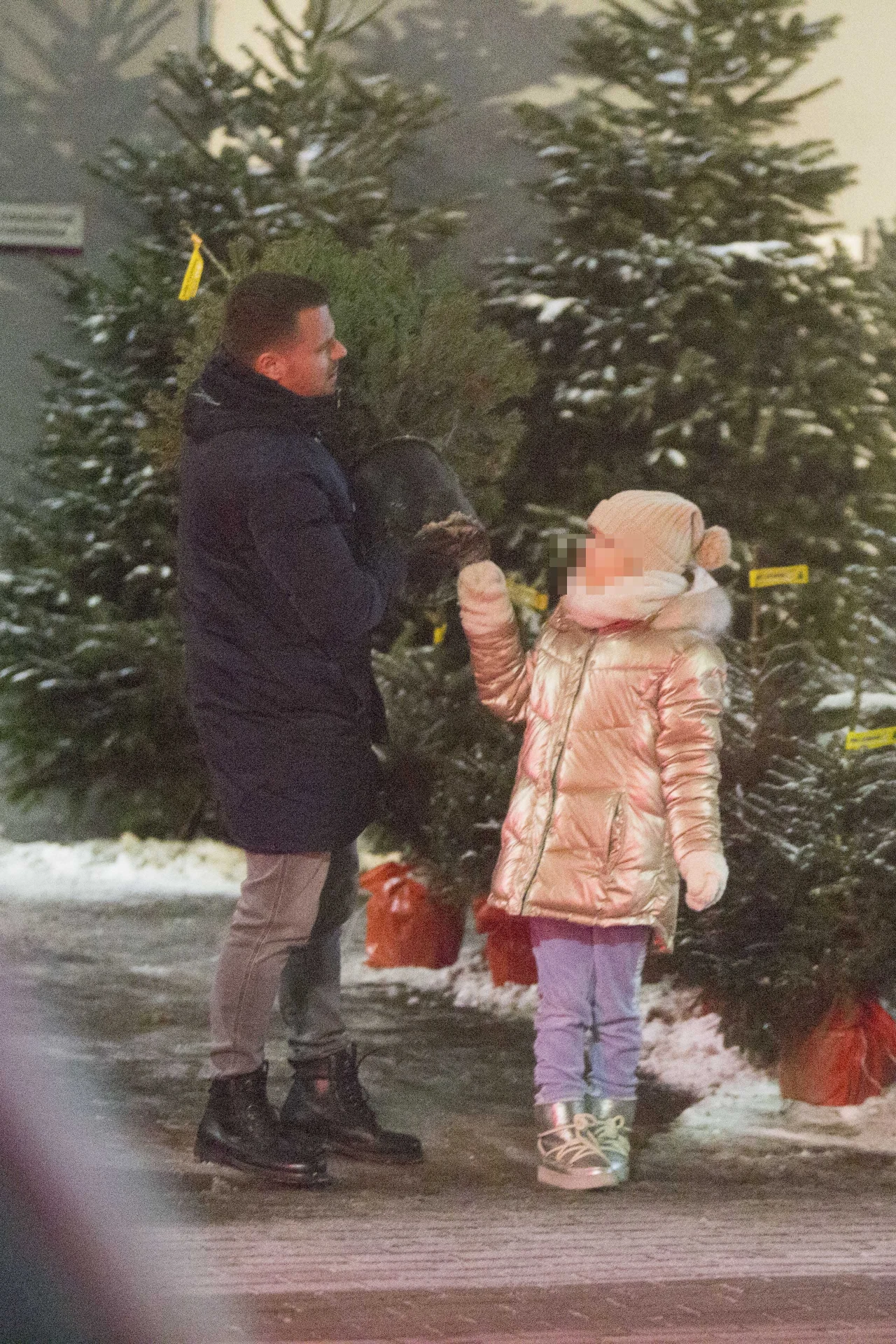 Marcin Hakiel z córką wybiera choinkę Marcin Hakiel z córką wybiera choinkę