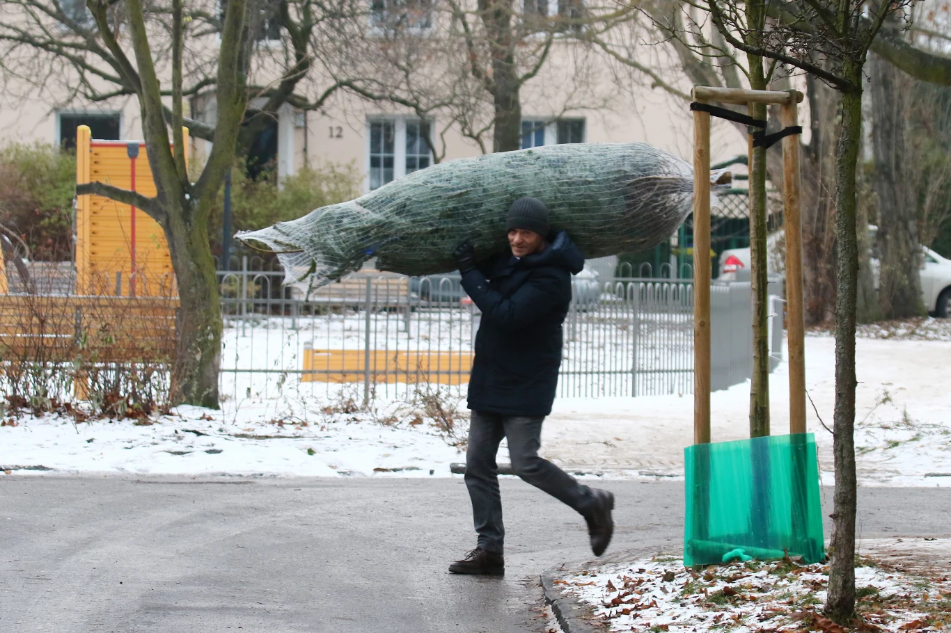 Donald Tusk kupuje choinkę Donald Tusk kupuje choinkę