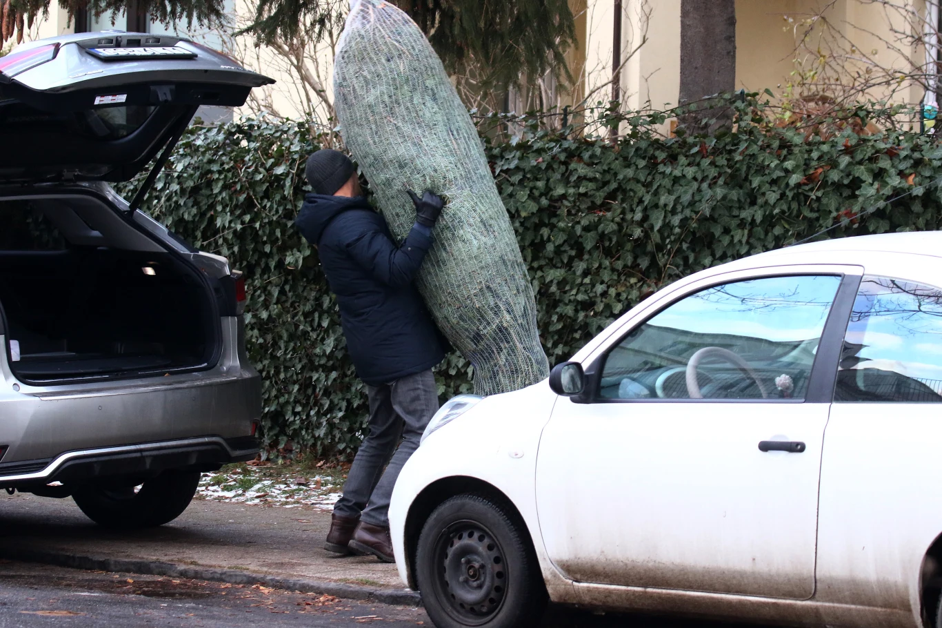 Donald Tusk kupuje choinkę Donald Tusk kupuje choinkę