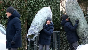 Donald Tusk kupił chonikę na święta