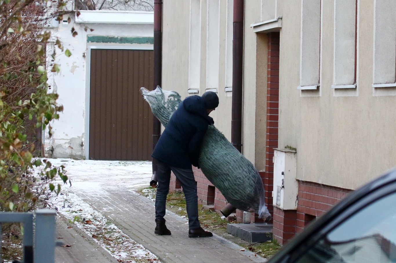 Donald Tusk wnosi ogromną choinkę Donald Tusk wnosi ogromną choinkę