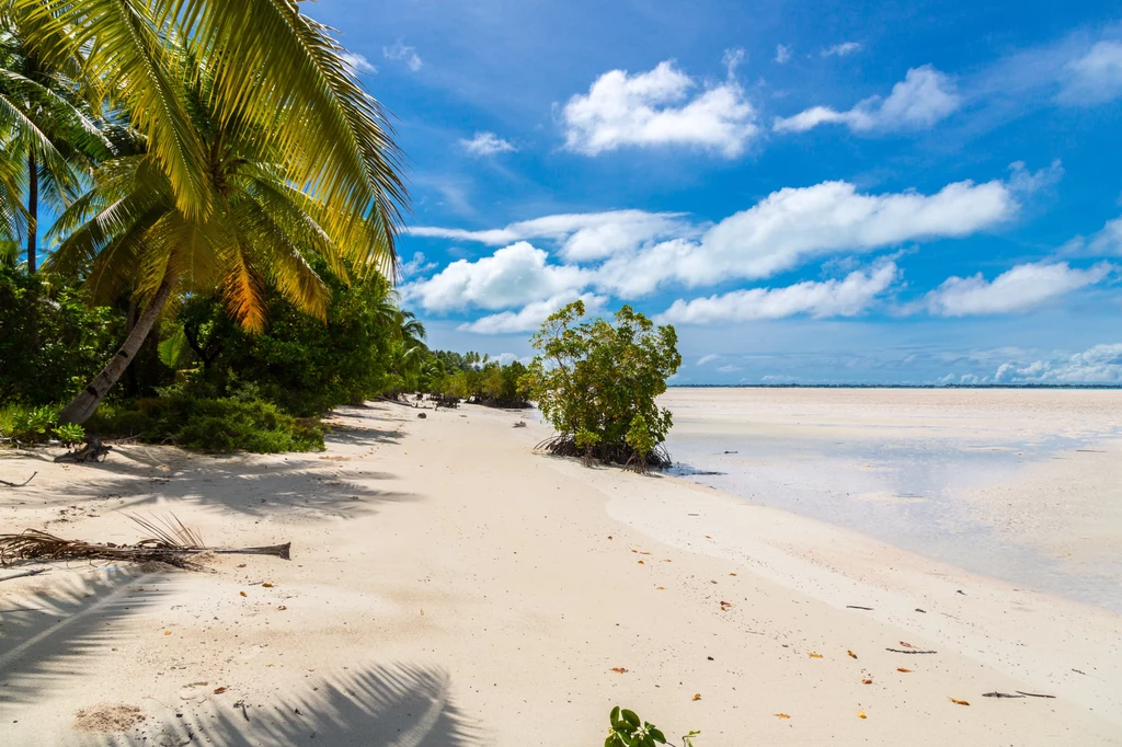 Rajska plaża na jednej z wysp Kiribati.