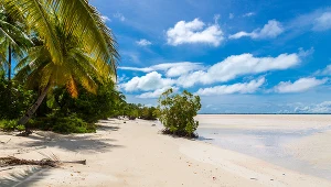 Na mapie znajduje się więcej niż jedna “Polska”. Ta leży na drugim krańcu świata 