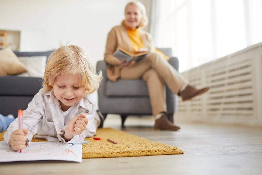 Przyjęcie przez rząd „Strategii Demograficznej 2040” według niektórych stanowi furtkę do wprowadzenia głośnego programu Babcia Plus