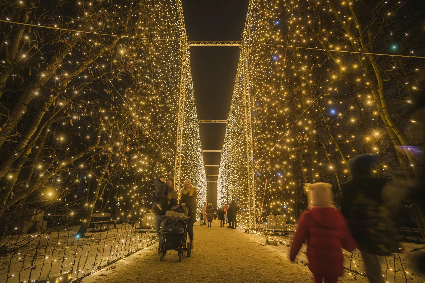 Iluminacje świąteczne w Parku Oliwskim w Gdańsku