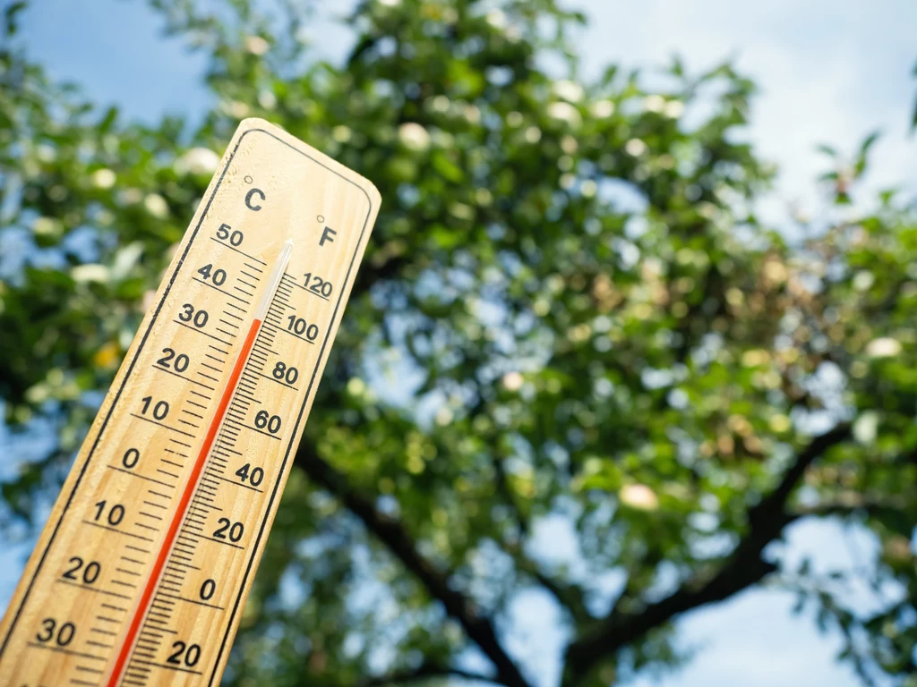 Już 22 i 23 maja w zachodniej Polsce temperatury sięgną nawet 29°C