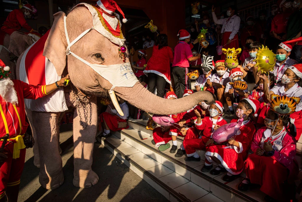 Słoń rozdaje prezenty