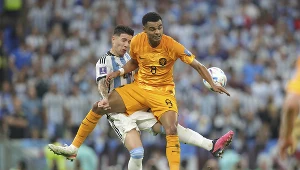 Cody Gakpo może lada moment trafić do Premier League