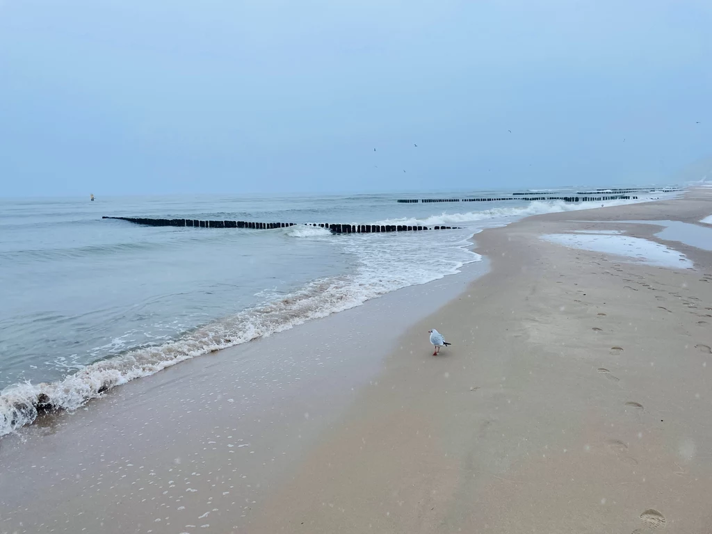 Bałtyckie plaże zachęcają do spacerów o każdej porze roku 