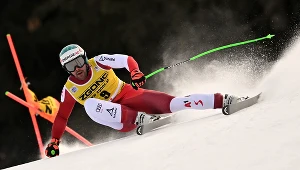 Vincent Kriechmayr
