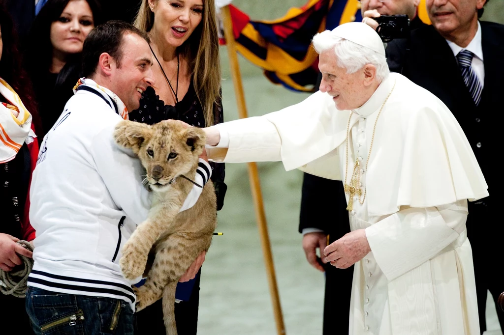 Papież Benedykt XVI głaszczący lwiątko w Watykanie