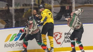 Hokej. Znamy pierwszego finalistę Pucharu Polski - to GKS Tychy