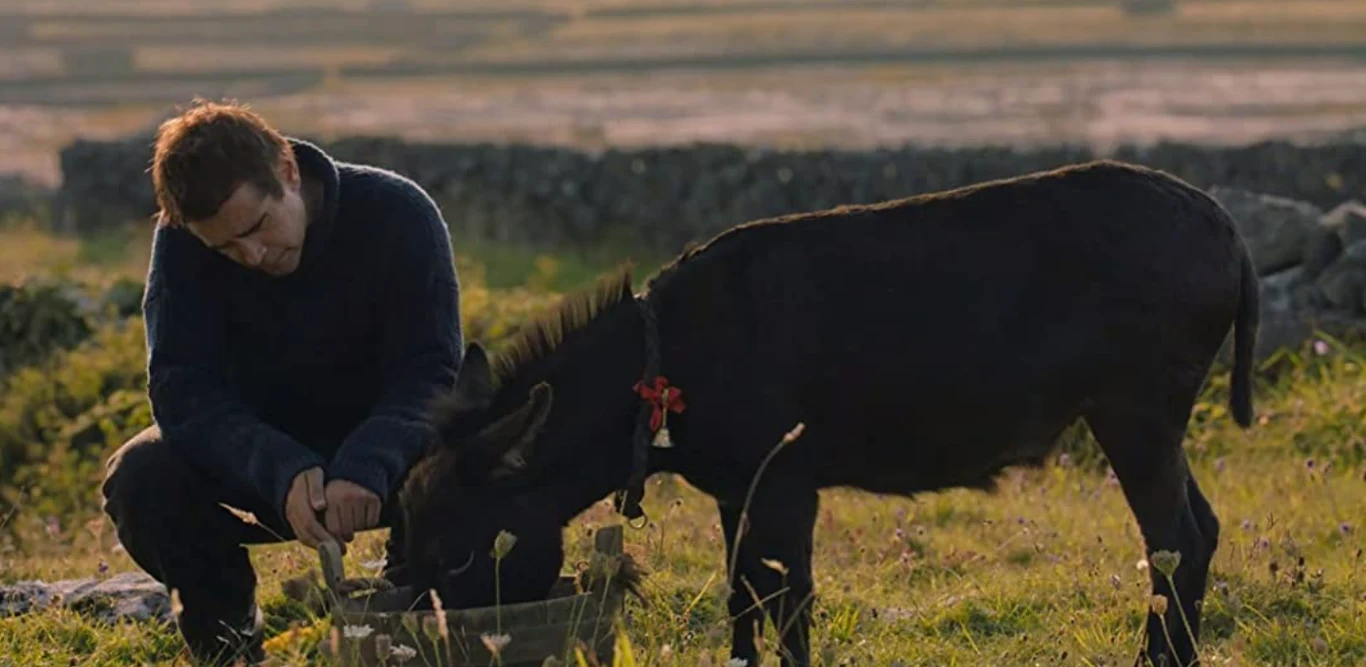Kadr z filmu "Duchy Inisherin" Kadr z filmu "Duchy Inisherin"