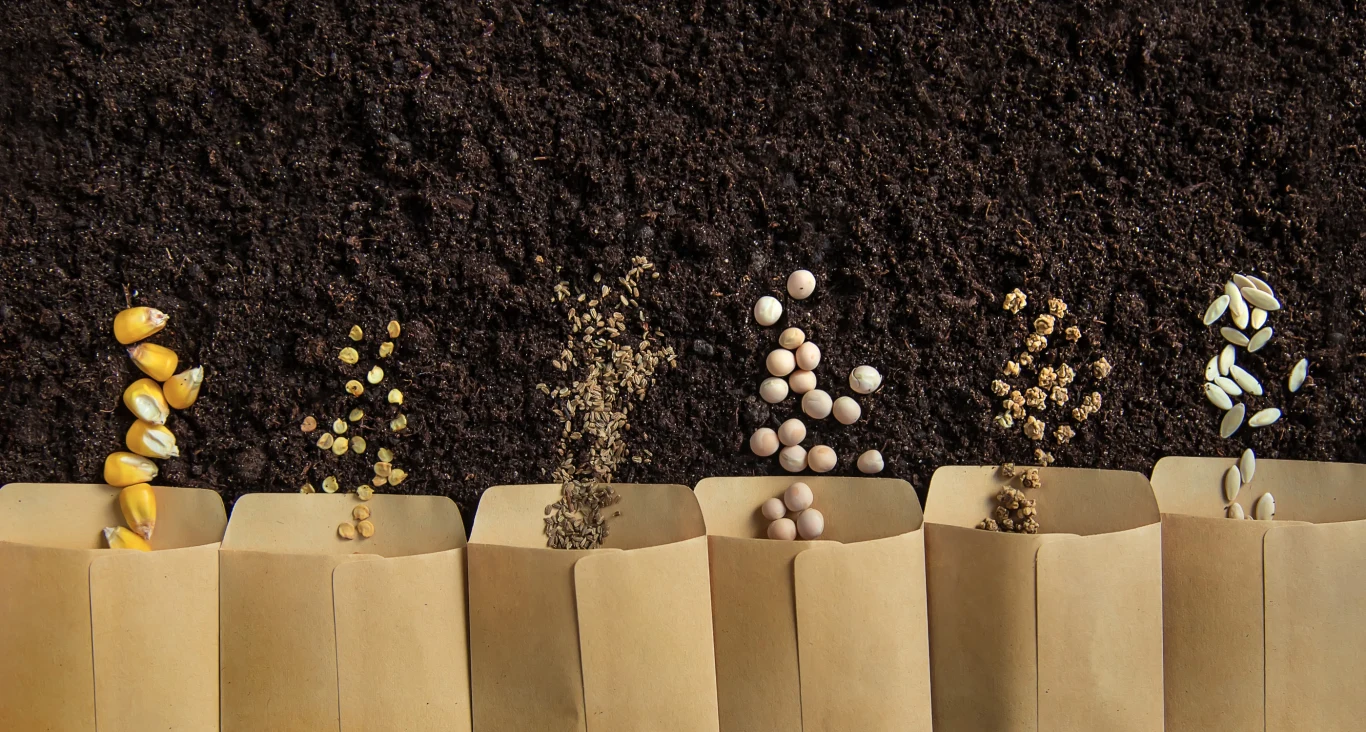 Wiosna to według kalendarza biodynamicznego czas sadzenia wielu gatunków roślin. Wiosna to według kalendarza biodynamicznego czas sadzenia wielu gatunków roślin.