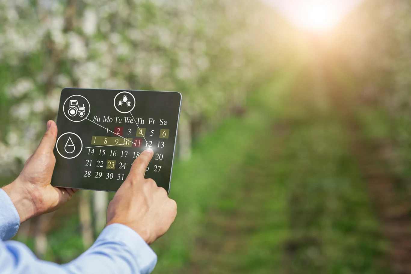 Według kalendarza biodynamicznego dla rolnika lipiec to przede wszystkim czas zbiorów. Według kalendarza biodynamicznego dla rolnika lipiec to przede wszystkim czas zbiorów.