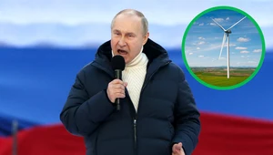 Wojna Putina przyspiesza przejście świata na zieloną energię  