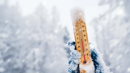 Prognoza pogody na zimę 2023. W Nowy Rok możemy się spodziewać rekordowej temperatury. Kiedy do Polski wróci zima?