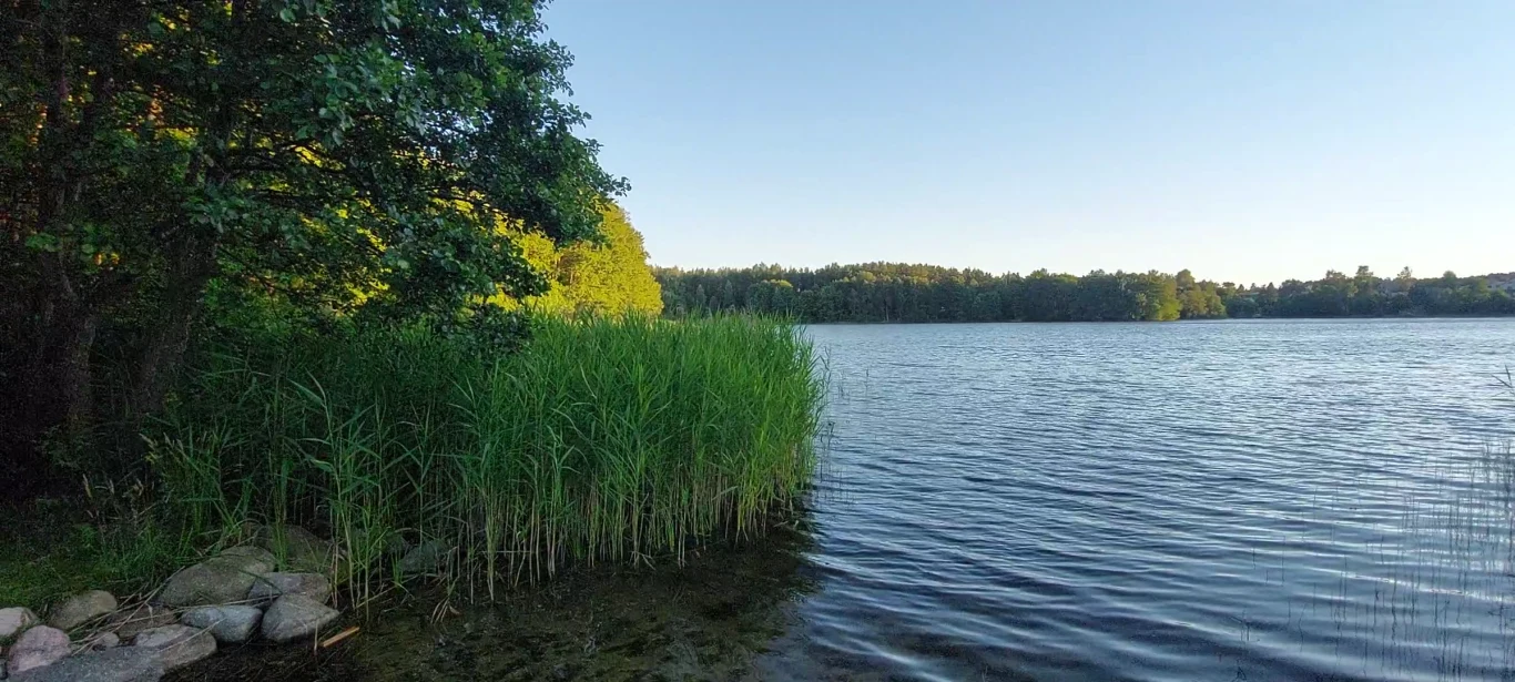 Kamień. To tutaj znaleziono ciało Justyny