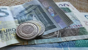 Na początku 2023 roku na rynek złotego mogą mieć wpływ czynniki krajowe, ale również globalne