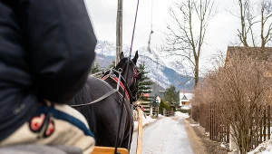 Huk petardy spłoszył konie zaprzęgnięte do dorożki. Zdj. ilustracyjne