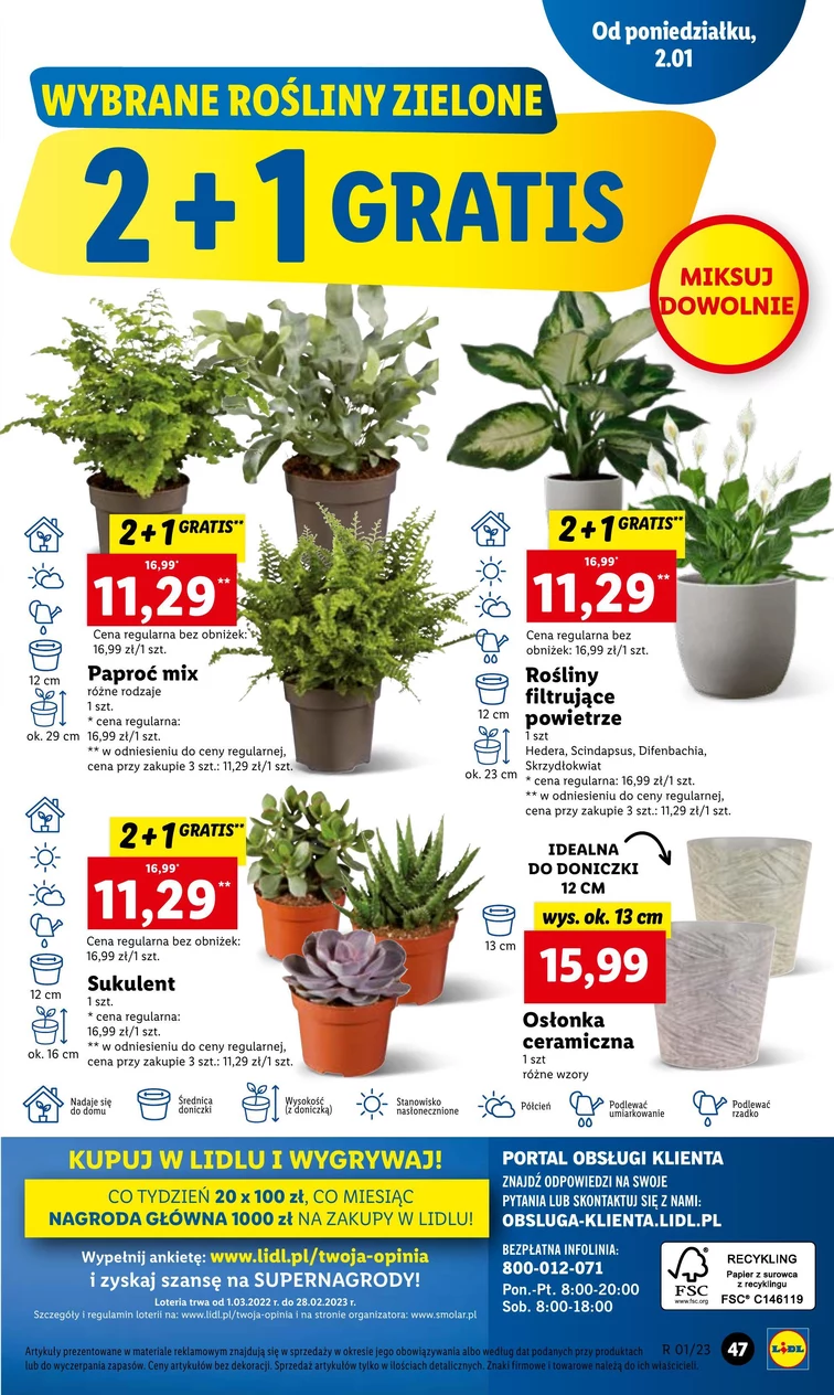 leaflet page preview image