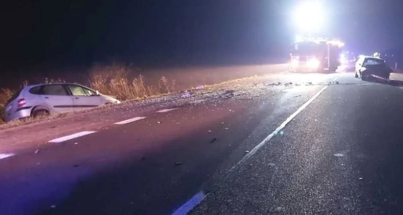 W efekcie najechania na łosia Audi obróciło się i zderzyło z Renault.