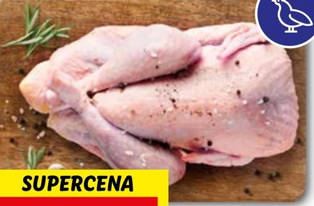 Perliczka Deluxe