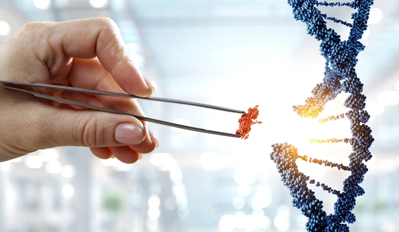 Jeden gen i ojciec zmienia się z opiekuna w agresora Naukowcy dokonali nowego odkrycia w świecie badań nad otyłością