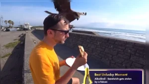 Fragment filmu pochodzi z kanału Twitch.tv @AikoiEmil