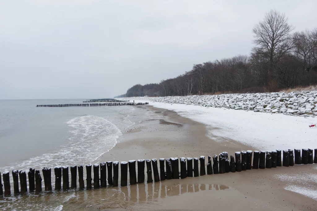 Do Polski na długi weekend i święto Trzech Króli powrócą zimowe temperatury. Lokalnie mogą się pojawić także intensywne opady śniegu