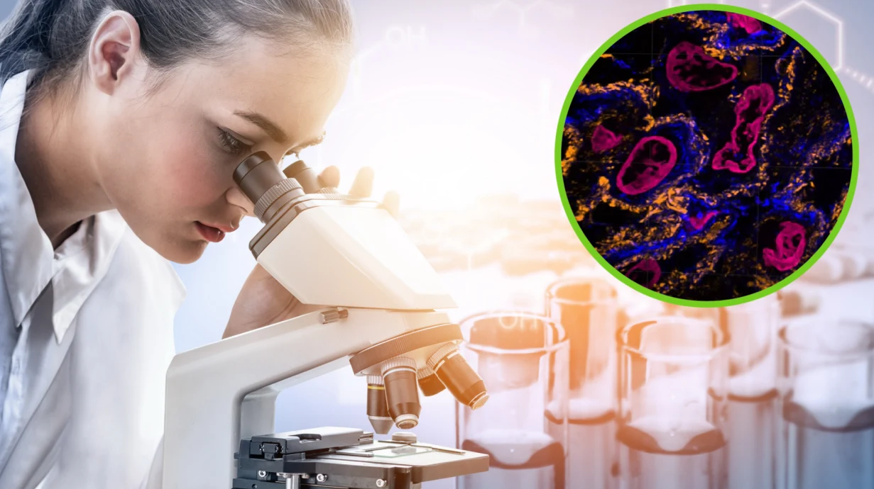 Magnify może być przełomem w świecie mikroskopii. Co to właściwie jest? Magnify może być przełomem w świecie mikroskopii. Co to właściwie jest?