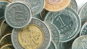 Złoty dobrze rozpoczął 2023 rok