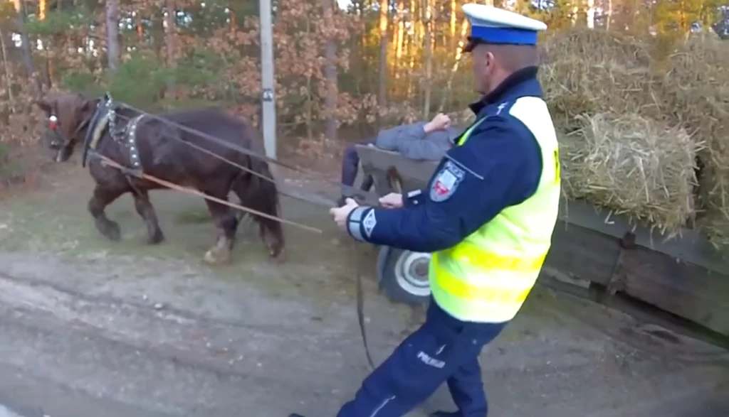 Wóz blokował pas drogi, więc za lejce złapał policjant.