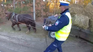 Wóz blokował pas drogi, więc za lejce złapał policjant.