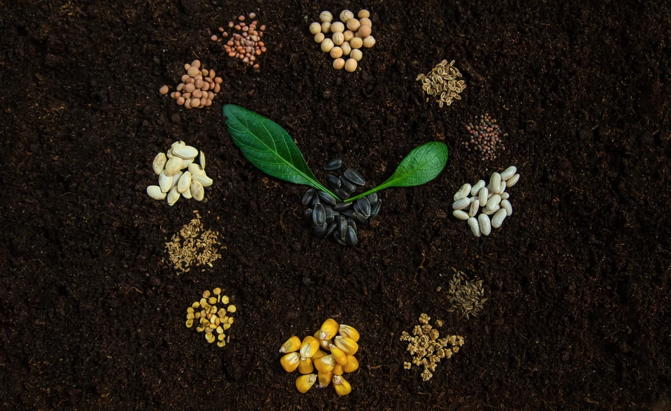 Kalendarz biodynamiczny uwzględnia zarówno fazy Księżyca, jak i znaki zodiaku. Kalendarz biodynamiczny uwzględnia zarówno fazy Księżyca, jak i znaki zodiaku.