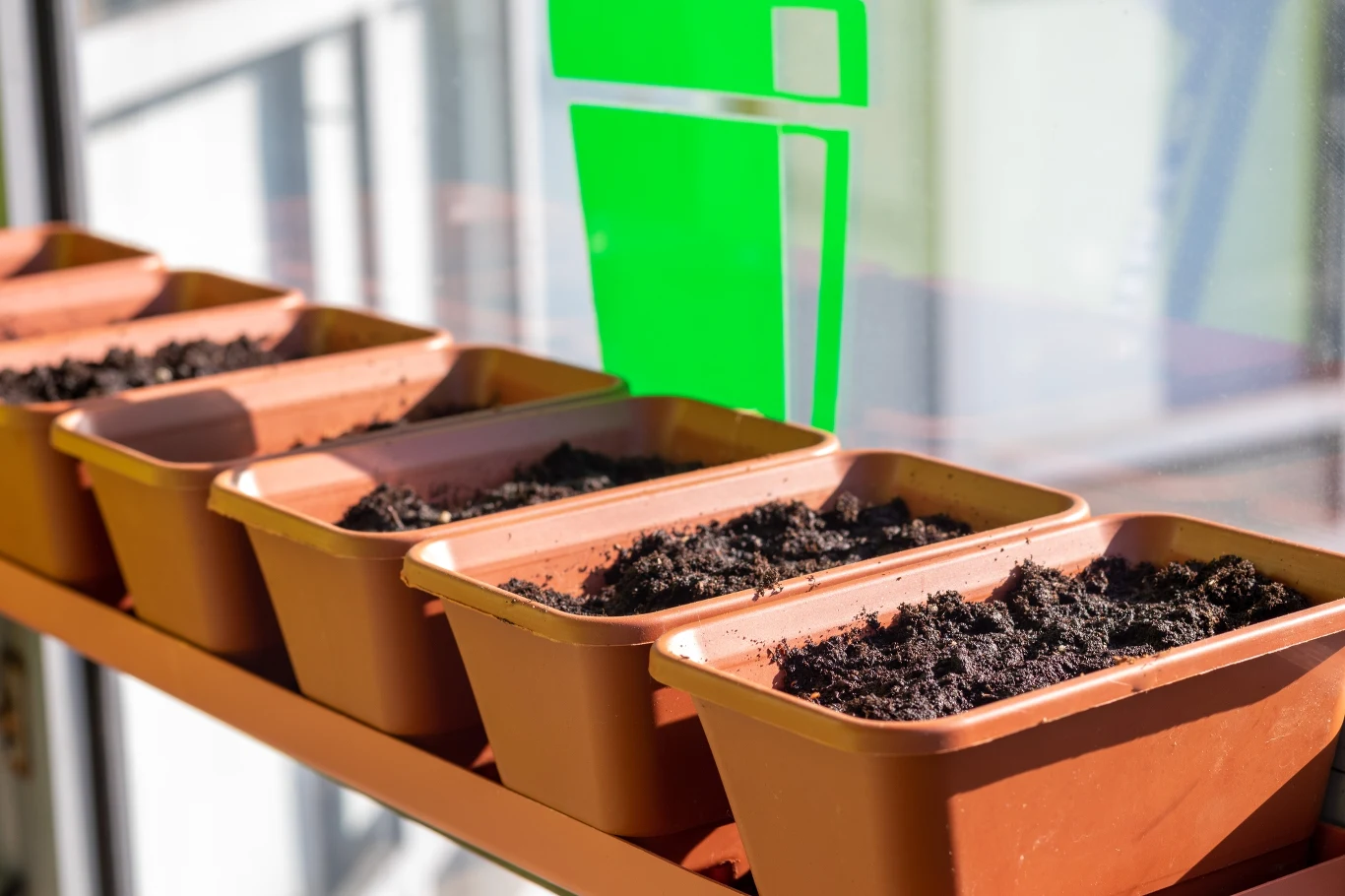 Rośliny do prawidłowego rozwoju potrzebują dobrego podłoża
