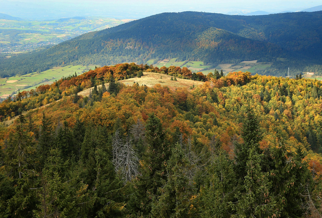 Widok z wieży widokowej na Mogielicy