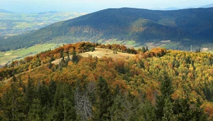 Widok z wieży widokowej na Mogielicy