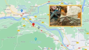 28-latek zaatakował 45-latka piłą spalinową