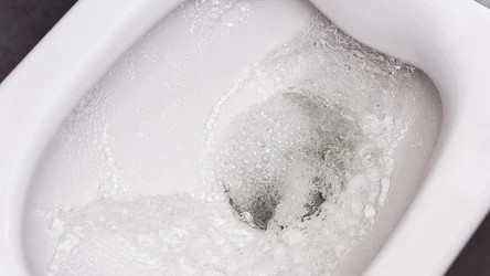 Z naszymi domowymi sposobami szybko odetkasz zatkaną toaletę. 