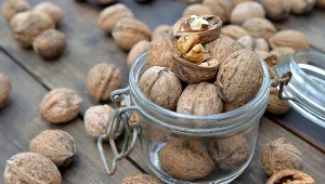 Orzechy włoskie są dobre m.in. dla serca czy mózgu. Ale nie wszyscy, jak się okazuje, mogą po nie sięgać. Osoby uczulone to nie jedyna grupa