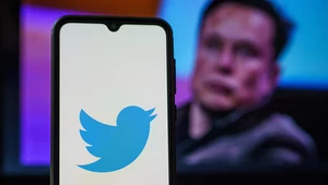 Twitter zmienia zasady gry. Musk przywraca w serwisie reklamy polityczne